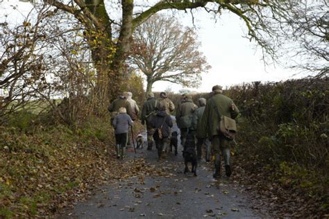 Better Pheasant Shooting Tips Shooting UK