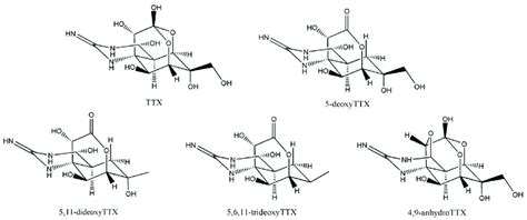 Chemical Structure Of Dominant Tetrodotoxin TTX Analogues Chau Et