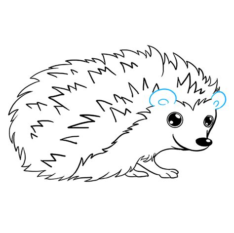 How to Draw a Hedgehog - Really Easy Drawing Tutorial | Hedgehog drawing, Easy drawings ...