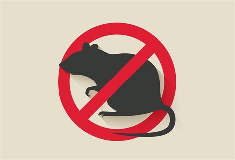 Best Rat Killer: Top Choices for Effective Rodent Control - Hunter Games Magazine
