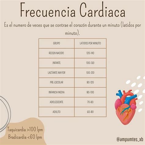 Frecuencia Cardíaca Material De Enfermeria Cosas De Enfermeria Clases De Enfermeria