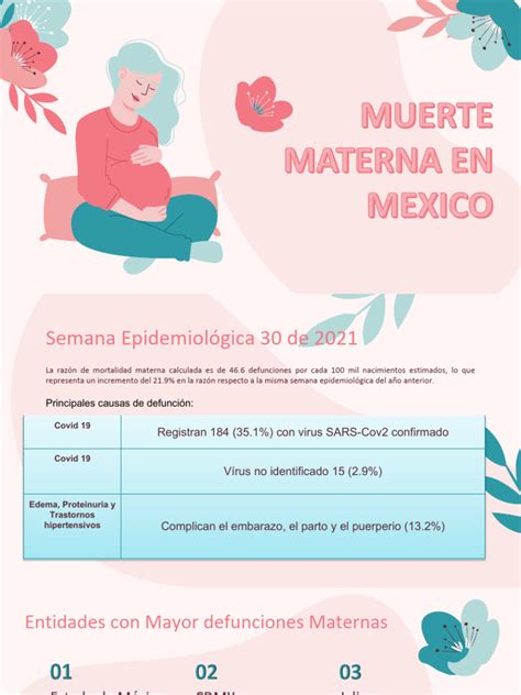 Muerte Materna En Mexico Pdf Muerte Materna Enfermedades Y Trastornos