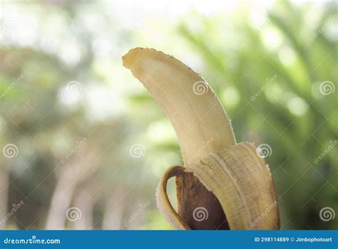 Rotten Banana On Blurred Bokeh Nature Stock Image Image Of Putrid