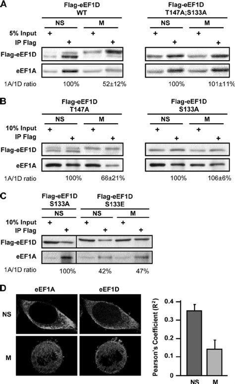 Eef D Variants And Their Interaction With Eef A A A Fraction Of