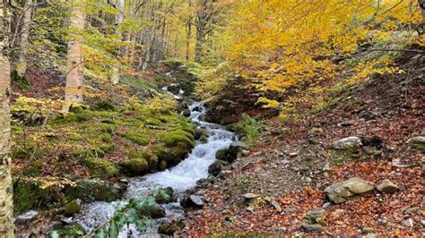 La Rioja Recibe Noviembre Entre Los Senderos De Reserva Biosfera