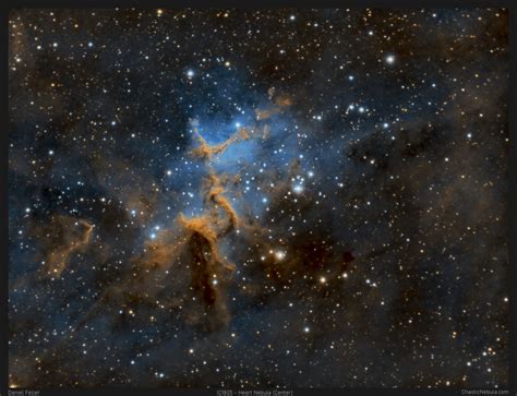 Melotte 15 The Heart Of The Heart Nebula IC 1805