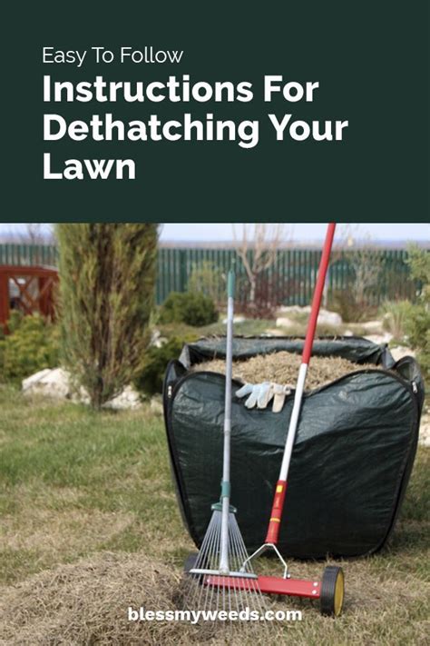 Easy To Follow Instructions For Dethatching Your Lawn | Dethatching ...