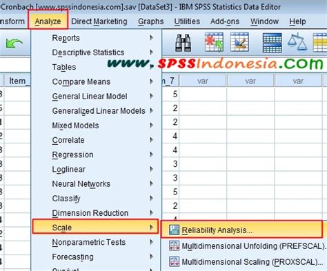 Cara Melakukan Uji Reliabilitas Alpha Cronbachs Dengan Spss Spss