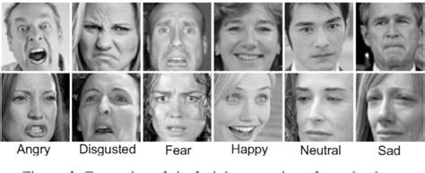 Figure 1 From Feed Forward Neural Network Facial Expression Recognition Using 2d Image Texture