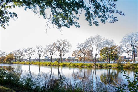 New England Fall Colors (2019) on Behance