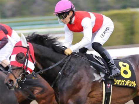 【皐月賞】過去4勝のm デムーロ騎手 ショウナンバシットで8年ぶり制覇なるか 競馬ニュース