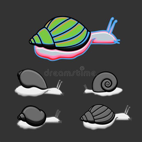 Snails Vector Set Stock Vector Illustration Of Closeup