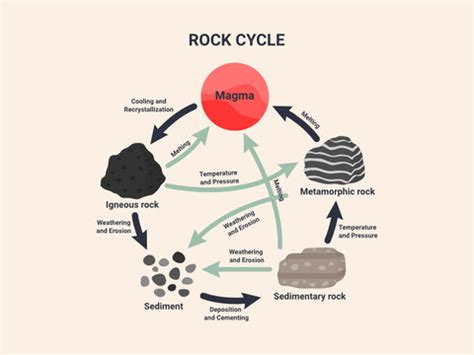 Sedimentary Rock Diagram - images, stock photos and vectors