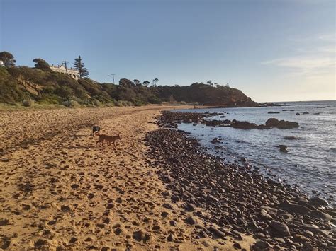 Discover the Biggest Beach in Melbourne, Australia - Ulastempat International