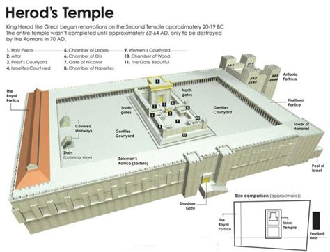 Which Herod Was Which Sorting Out The Five Herods The Catholic Weekly