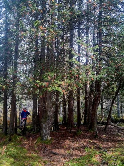 PM Water Cooler Naked Capitalism