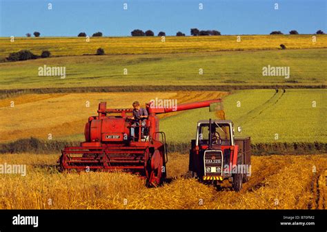 Massey Ferguson 410 Ancienne Moissonneuse Batteuse Et Le Tracteur La