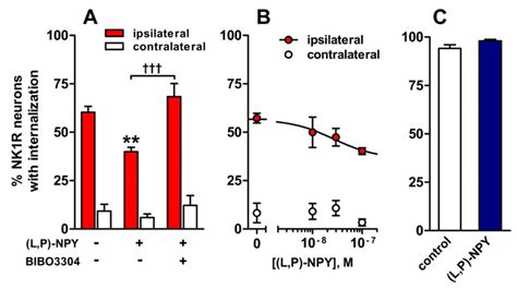 Y1 Receptors Decrease Nk1r Internalization Evoked By Dorsal Root