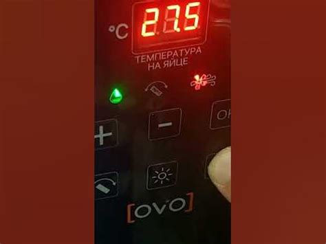 инкубатор OVO-156 - YouTube