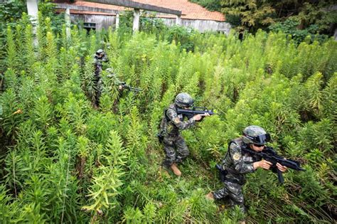 磨砺复杂环境实战能力，武警侦察兵烈日开展练兵