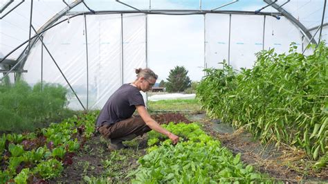 Prot Geons Nos Terres Agricoles De La B Tonisation Youtube