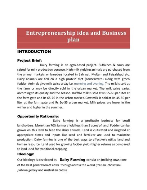 Entrepreneurship Idea And Business Plan