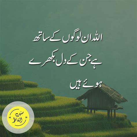 Achi Aur Bahut Pyari Batain Amazing Urdu Quotes Best Urdu Aqwal E Zareein