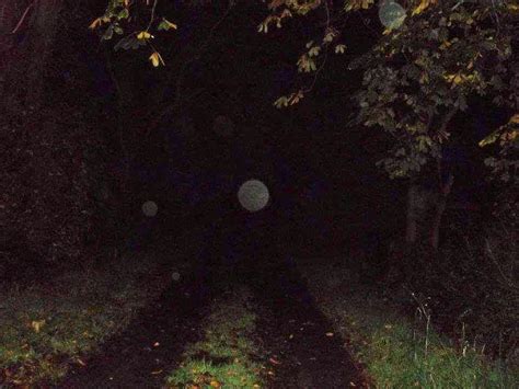 Have You Ever Seen A Ghostly Orb In Your Photo This Explains Why