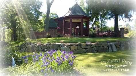 The Dreamy Lavender Farm In New Jersey You Ll Want To Visit This Spring