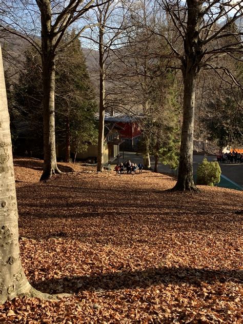 Foto Del Campo Invernale L C Schio Agesci Caravaggio