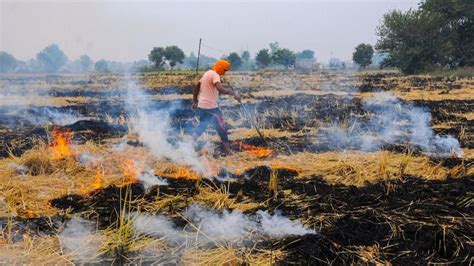 Nasa Images Show Early Stubble Burning In Punjab India News