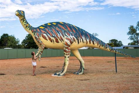 Visit Hughenden in Outback QLD for dinosaurs, fossicking, swimming and ...