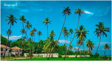 places  visit  aroor    attractions