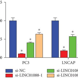 Linc Is A New Potential Target That Promotes Pca Development A