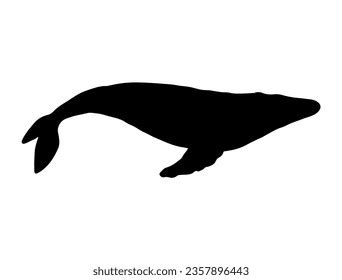 Humpback Whale Silhouette: Over 3,186 Royalty-Free Licensable Stock Vectors & Vector Art ...