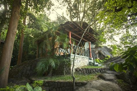 Budget friendly resorts in Wayanad | Budget resorts in Wayanad | by ...