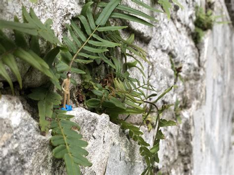 Families are sharing the best New Orleans obits this week 10