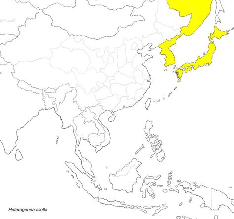 Species Name Heterogenea Asella Denis And Schiffermuller1775 カギバイラガ