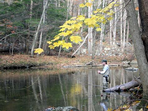 NJDEP Division Of Fish Wildlife Fall Trout Fishing In New Jersey