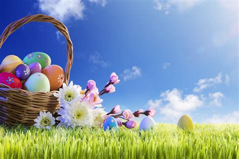 Download Grass Flower Easter Egg Basket Holiday Easter 4k Ultra Hd