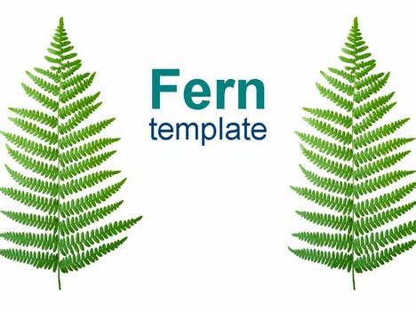 Fern Nature Template