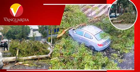 Fuertes Lluvias Provocan Encharcamientos Y Caída De árboles En Cdmx