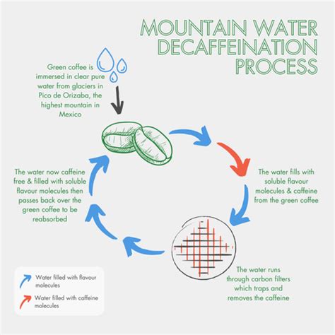 Mountain Water Process (MWP) Decaf Process