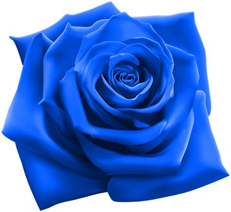 Blue Rose Png Clipart Image Rosé Png Blue Rose Blue Flower Png