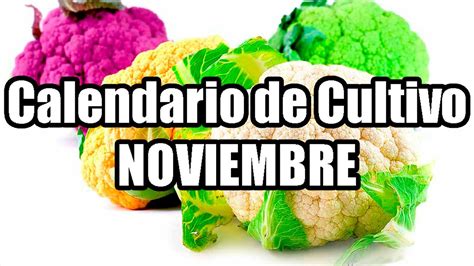 Que Sembrar En Noviembre Cultivos Noviembre Calendario De Siembra