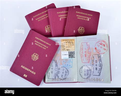 passports identification document identifications visa stamp stamps