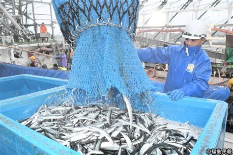 秋の味覚サンマが今年初めて水揚げ 福島県いわき市の小名浜漁港 昨年より高値で取引 浜さ恋