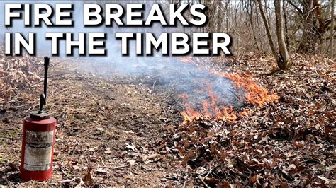 How To Properly Create Fire Breaks In The Timber Prescribed Fire