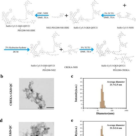 Characterization Of The CREKA GK8 QC Imaging Probe A Synthesis Route