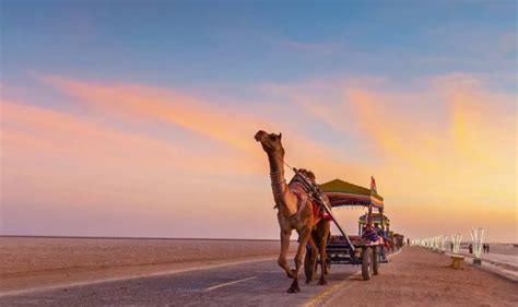 3 Days Gujarat Tour Itinerary Gujarat Tour Package For 2 Nights 3 Days